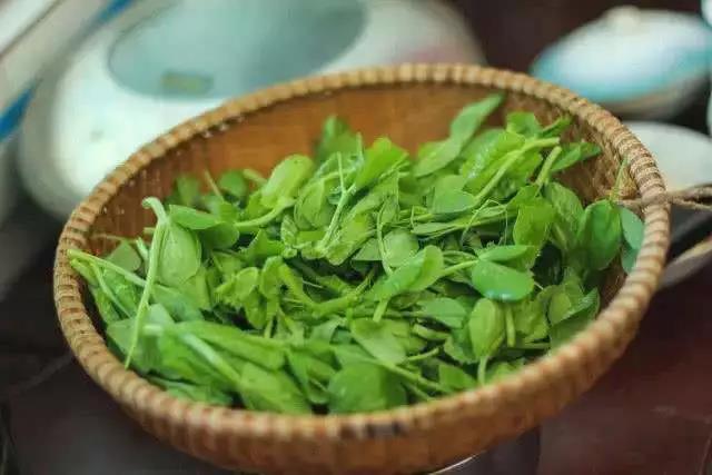 好視力科技護眼知識分享：用眼過度的人多吃這道菜