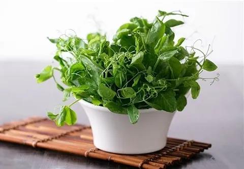 這個(gè)護(hù)眼食物，竟然還有人不知道！