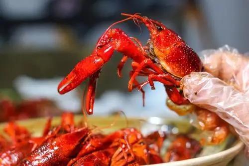 小龍蝦暢銷的季節(jié)，專家建議這個部位千萬別吃！