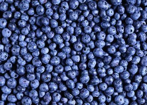 常補充這個物質(zhì)，緩解視疲勞，眼睛不怕干！