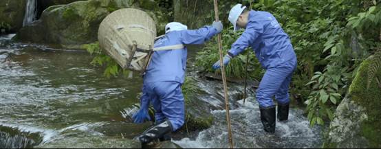 好視力眼貼：20年的良心堅守，只為讓我媽用上好的護眼產(chǎn)品