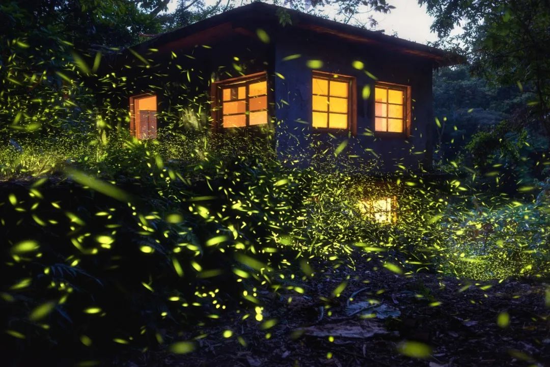 夜視力是什么？為什么有人一到晚上就看不清？