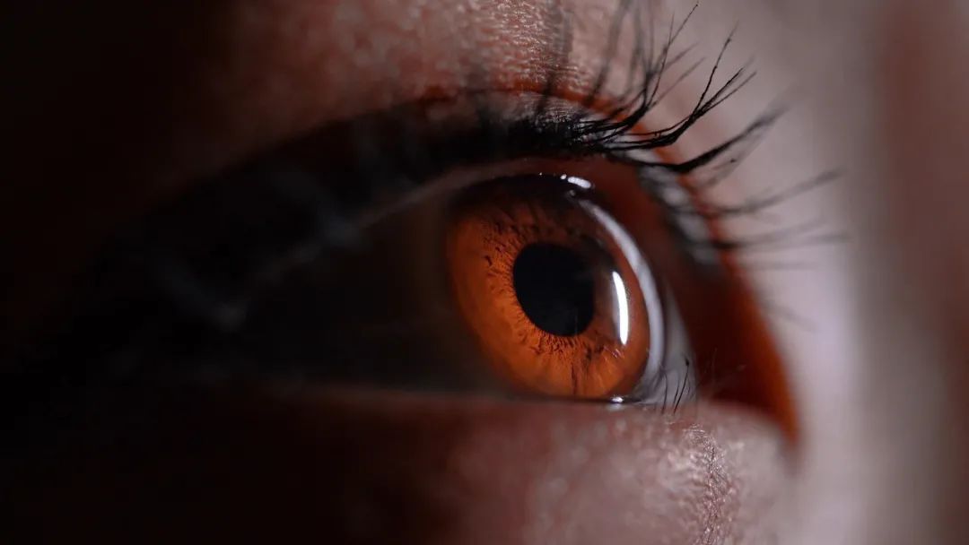 各年齡階段護(hù)眼重點(diǎn)，可千萬(wàn)別搞錯(cuò)了